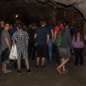  Sproing Pics (15/92)